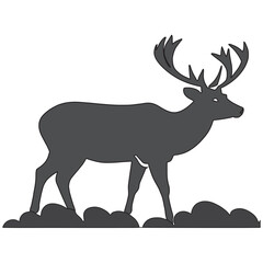A beautiful deer vector illustration