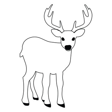 A cute deer coloring page for kids