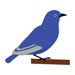 A very beautiful blue bird vector artwork