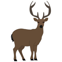 A very beautiful deer vector illustration