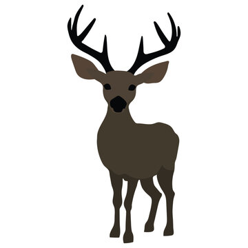 A very beautiful deer vector artwork