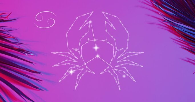 Animation of cancer star sign over exotic leaves on pink background