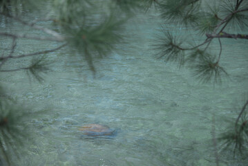 Clear Water