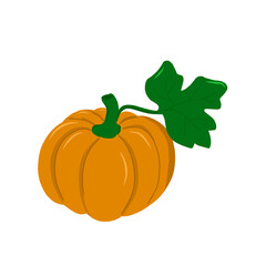 Illustration of an orange pumpkin with green leaves 