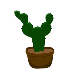 Illustration of cactus planted in pots