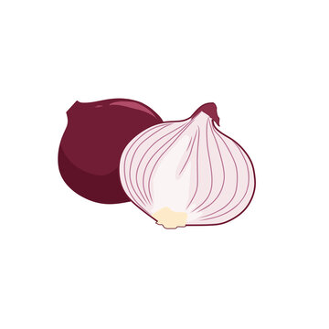 Illustration of whole and sliced shallots