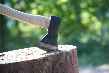 Chopper or axe standing upright in a tree stump