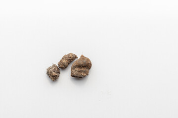 Caladium dormant bulbs isolated on white background