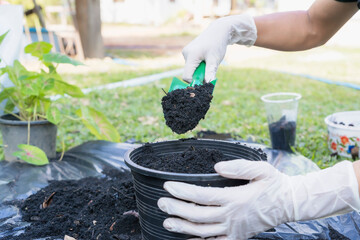 Close-up of a black flowerpot and woman's hands with white gloves preparing the soil for planting...