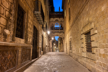 Fototapeta na wymiar Small alley in the Gothic Quarter in Barcelona at night with the Pont del Bisbe