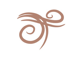 Hand Drawn Decorative