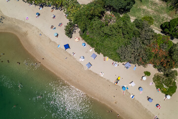 Looking down on a busy beach goers day between the water and trees