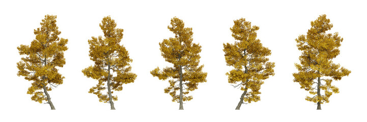 Autumn tree on transparent background, 3d render illustration.