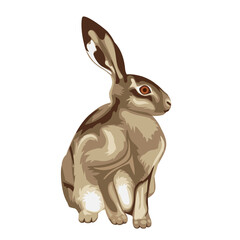 Illustration of sitting little hare. Illustrations of sitting hare. Animal illustrations.