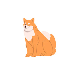 Happy Asian dog of Akita Inu breed. Cute Japan canine animal. Funny smiling doggy, charming bicolor Japanese pedigree. Adorable purebred puppy. Flat vector illustration isolated on white background