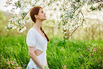 Naklejka na ściany i meble beautiful woman in a light dress posing next to a flowering tree in the countryside
