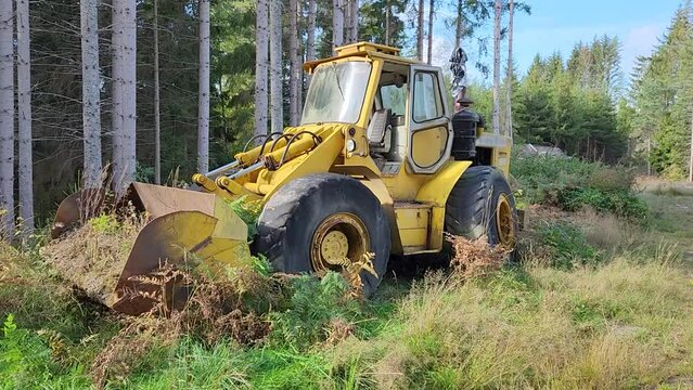 Wheel loader left in forest in Sweden