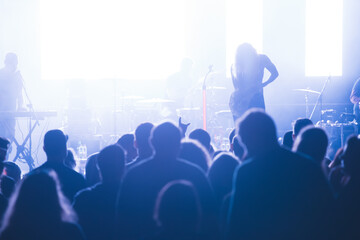 Crowd at concert and blurred stage lights.