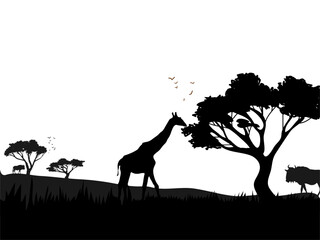 Fototapeta na wymiar african landscape silhouette