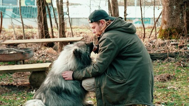 here a gray and very fluffy wolfsspitz is fed with a treat from his friend. In the background is an autumnal forest with benches and a fireplace. These two look very familiary.
