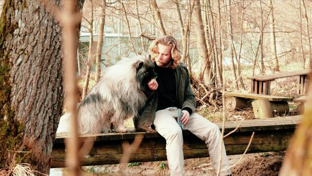 they are sitting there like two brothers. The young blond man and his faithful companion, a gray fluffy wolf. Sitting on a bridge in an autumnal forest.