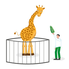 A boy is feeding a giraffe with a leaf at the zoo. Flat vector illustration