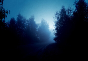 Naklejka premium Night foggy forest road