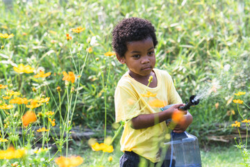 African 3 years old boy holding watering can and watering flowers garden on sunny day. Cute little child gardening, spraying water from a watering can at backyard in summer