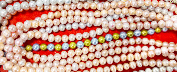 Natural sea pearls. A bunch of pearls on a red background, pearl strands close-up.