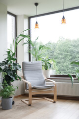 Urban jungle apartment. Grey armchair near big panoramic window, indoor plants, monstera, palm trees. Biophilia design. Cozy tropical home garden. Eco friendly decor of living room. - 584547013