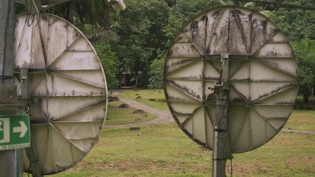 Old forgotten parabolas and a live deer eating in the background. looks like an abandoned research center