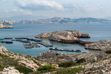 Parc &agrave; huitres dans les &icirc;les du Frioul