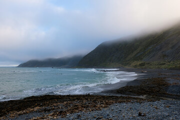Wild, rugged Red Rocks on the South Coast of Wellington, New Zealand Aotearoa, atmospheric, foggy landscape