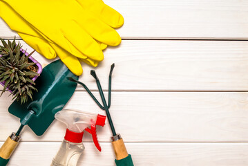 Garden tools on the background of a white wooden table