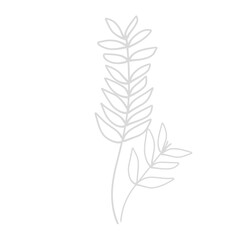 Flower line vector