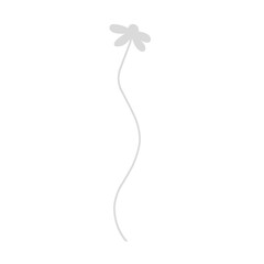 Flower line vector