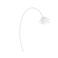 Flower line vector