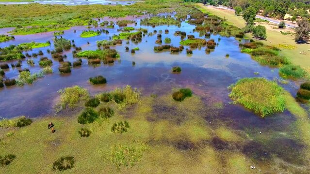 aerial shot of the el kala wetland Algeria