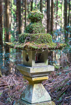 Moss covered Ishidori lantern in the woods of Kumamoto Japan