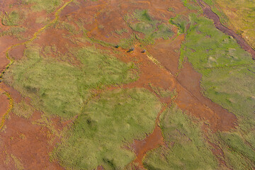 Aerial View of Green Patches on Rusty Terrain in Volcanic Landscape