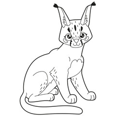 Simple children's coloring book cute desert animal character caracal