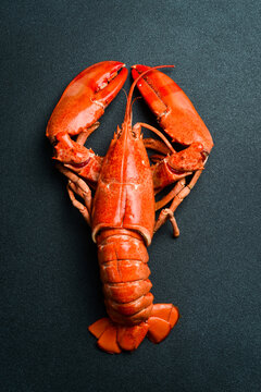 Big red boiled lobster. Close-up on slate surface. Seafood, top view.