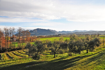 Fototapeta na wymiar Franciacorta, vigneti e colline in primavera - Brescia 