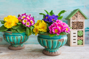 Obraz na płótnie Canvas Spring flowers in a vase