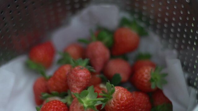 Freshly harvested strawberries being gently placed into metal container, filmed in slow motion as close up shot