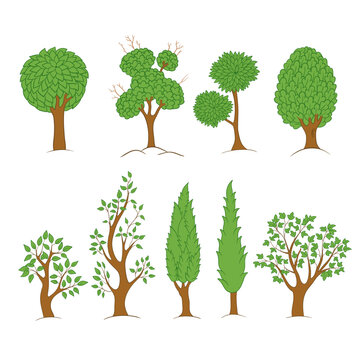 Green trees set, vector illustration. Stylized forest tree collection
