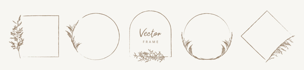 Collection elegant frames, wreaths, borders with wild herbs and flowers. Vector vintage botanical illustration for invitation or wedding decor, logo, labels, branding business identity