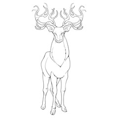 A red deer stag standing in full height, front view, magnificent antlers. Black Line drawing isolated on white background. EPS10 Vector illustration