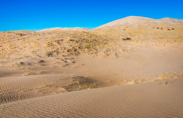 Fototapeta na wymiar Arid Desert Dunes at Mojave National Preserve