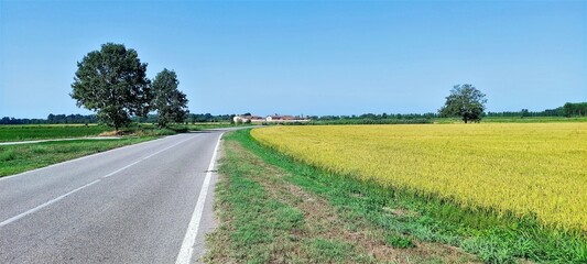 La strada e la campagna